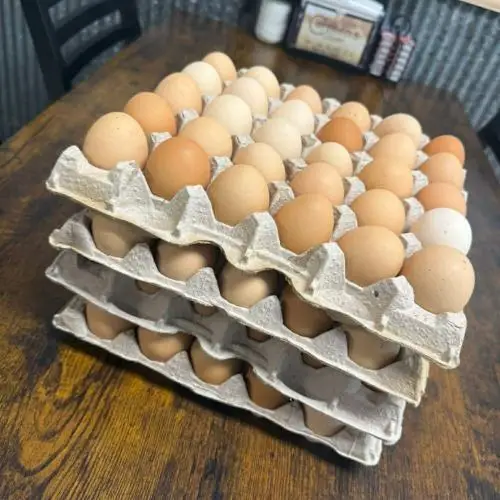 Carmen's Fresh Eggs